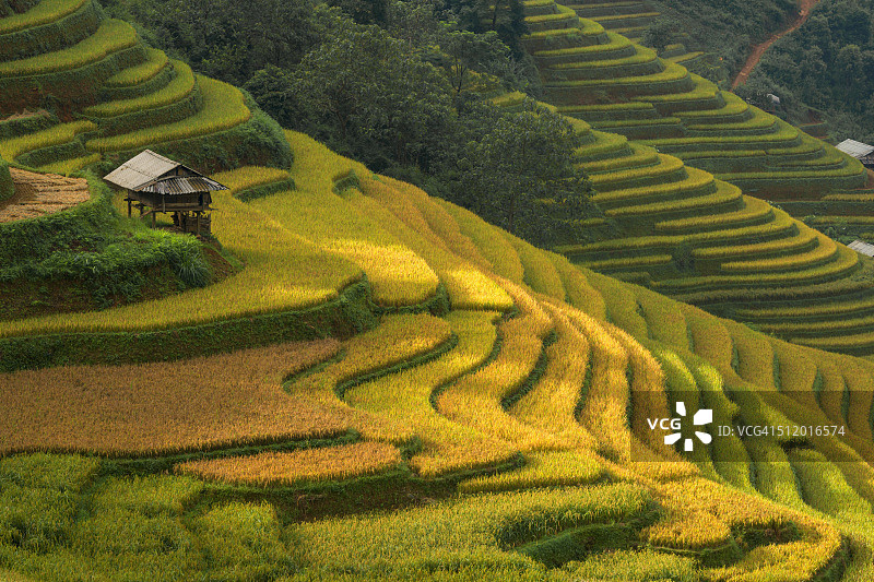 越南木江界的壮丽梯田图片素材
