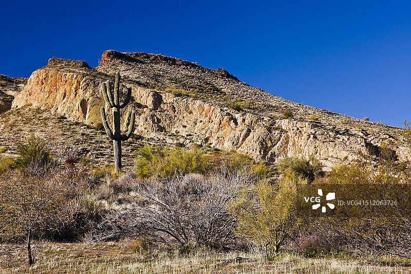 布朗山和巨人柱图片素材