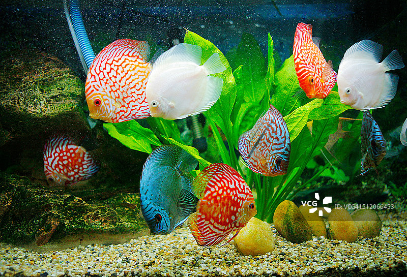 水族馆图片素材