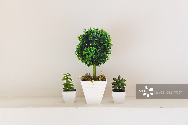 简单白色花瓶中的各种植物图片素材