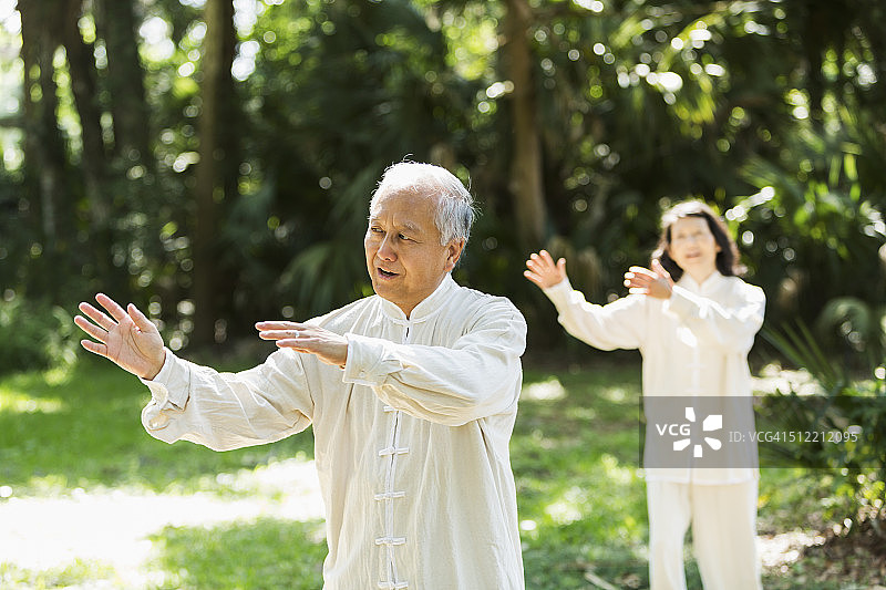 年长的男人练习太极拳图片素材