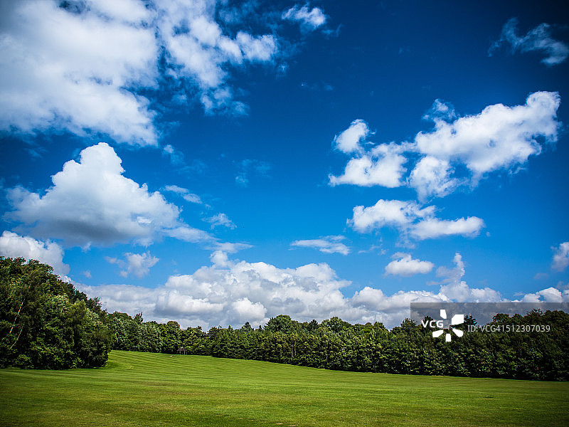 大型绿色草地，树木，阳光明媚多云的天空图片素材