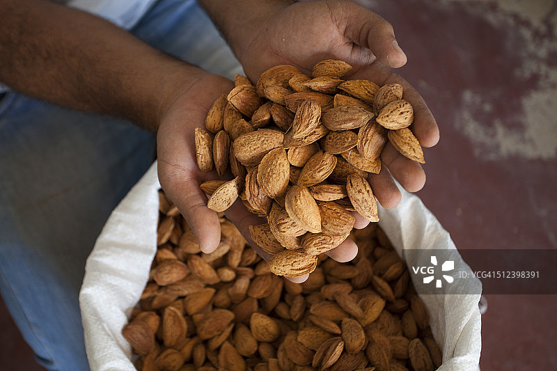 巴勒斯坦杰宁市Sileh Artheyah村图片素材