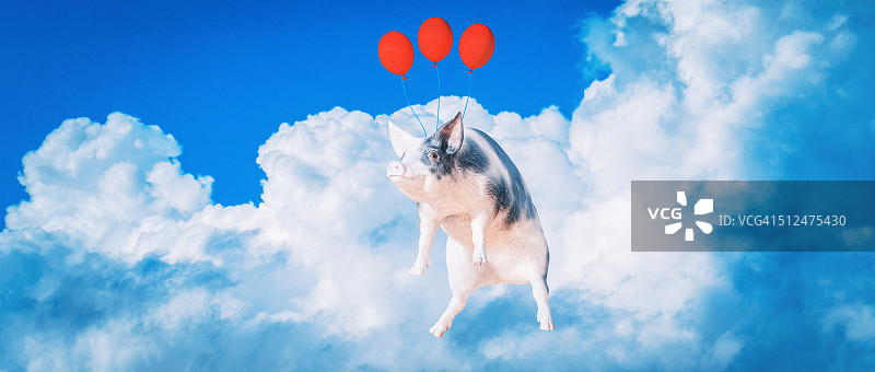 快乐飞翔的微笑猪图片素材