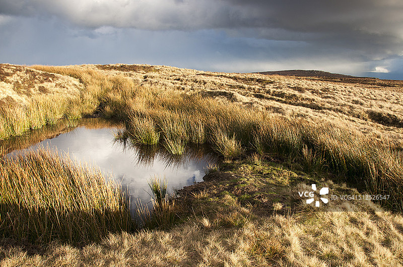 斯坦尼奇边缘的荒地水池图片素材