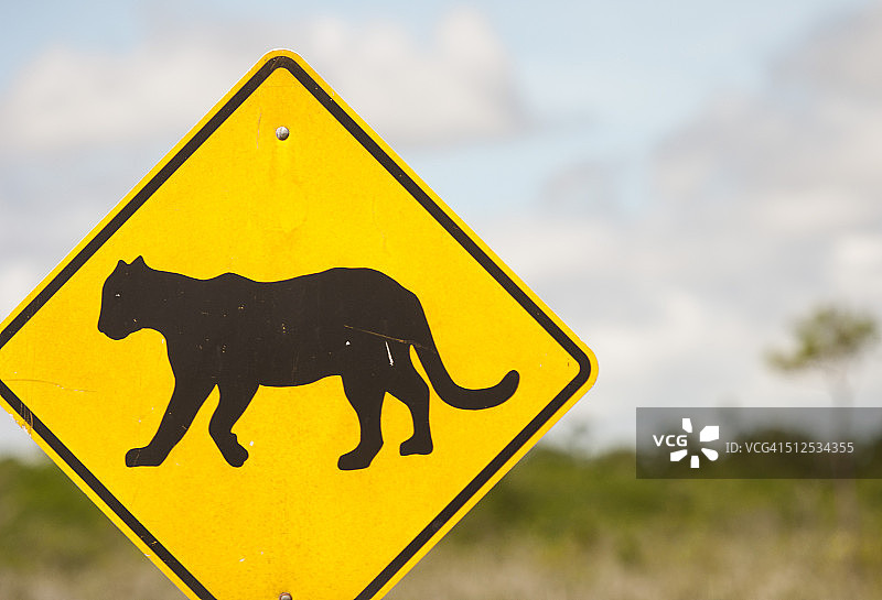 黑豹标志图片素材