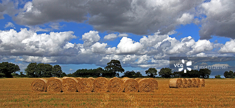 收割后的田地（包括草捆）图片素材