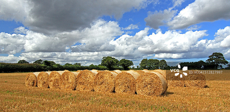 收割后的田地（包括草捆）图片素材