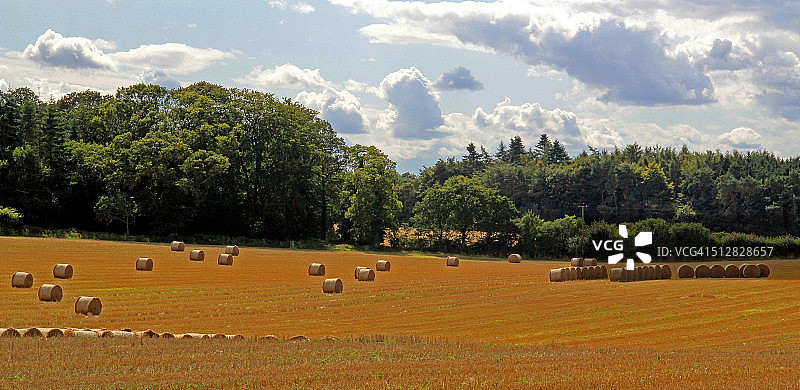 收割后的田野图片素材
