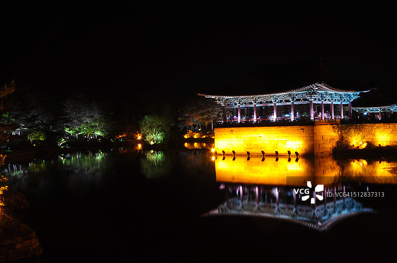夜晚灯光下的雁鸭池图片素材