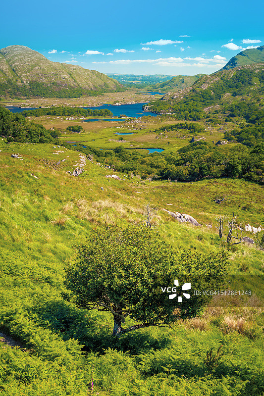 爱尔兰克里郡基拉尼国家公园的女士观景点图片素材