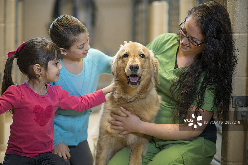 动物收容所志愿服务图片素材