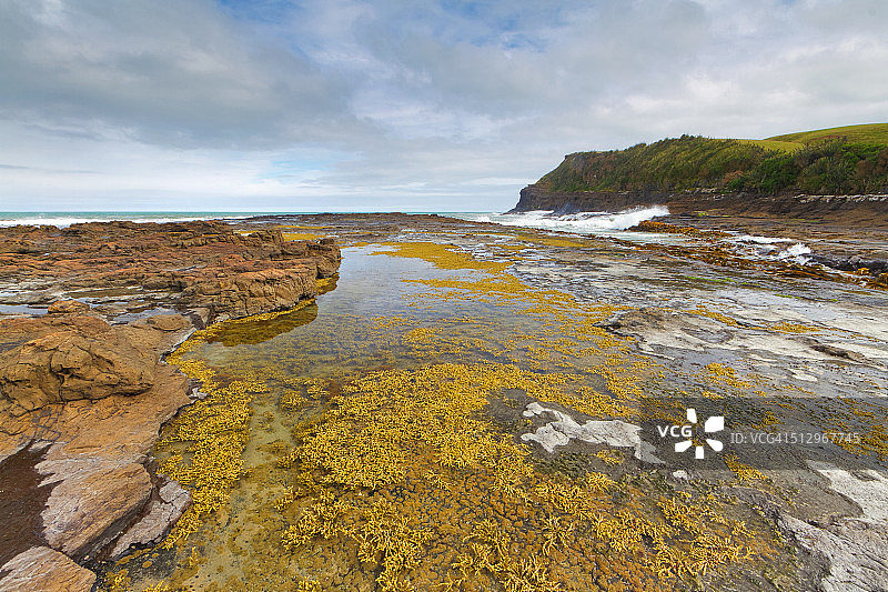 新西兰卡特林斯群落的库里奥湾图片素材