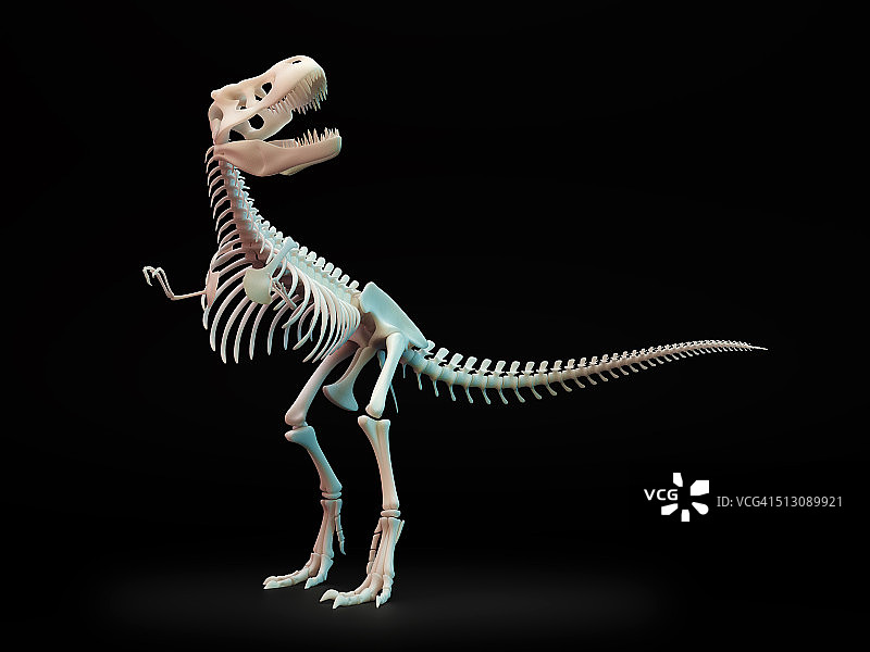 霸王龙骨骼艺术图图片素材