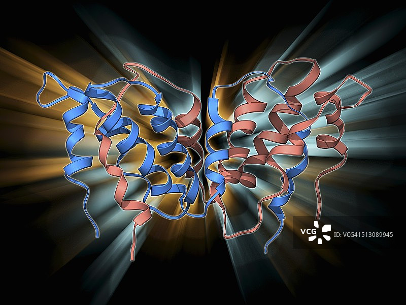 干扰素γ分子图片素材