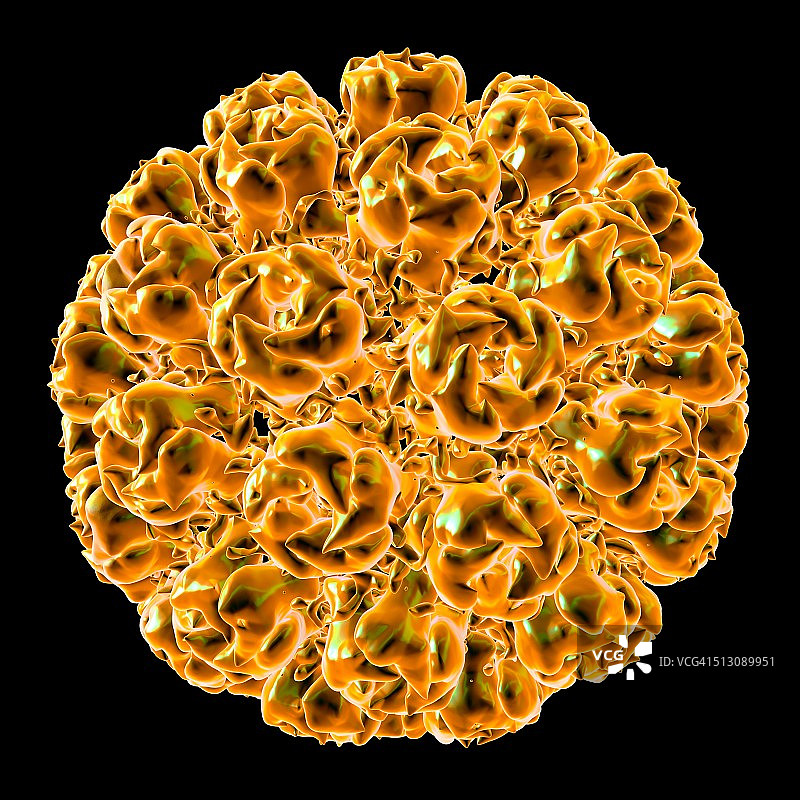 猿猴病毒40艺术图图片素材