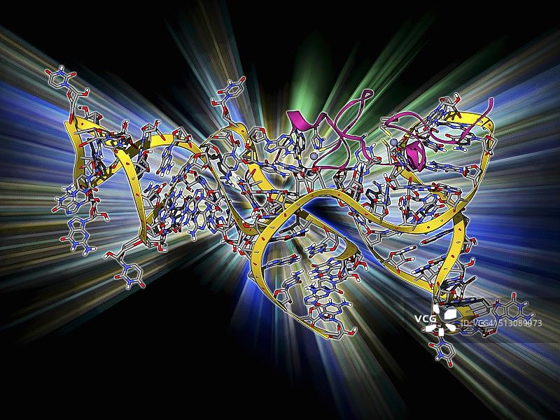 病毒RNA包装信号复合物图片素材