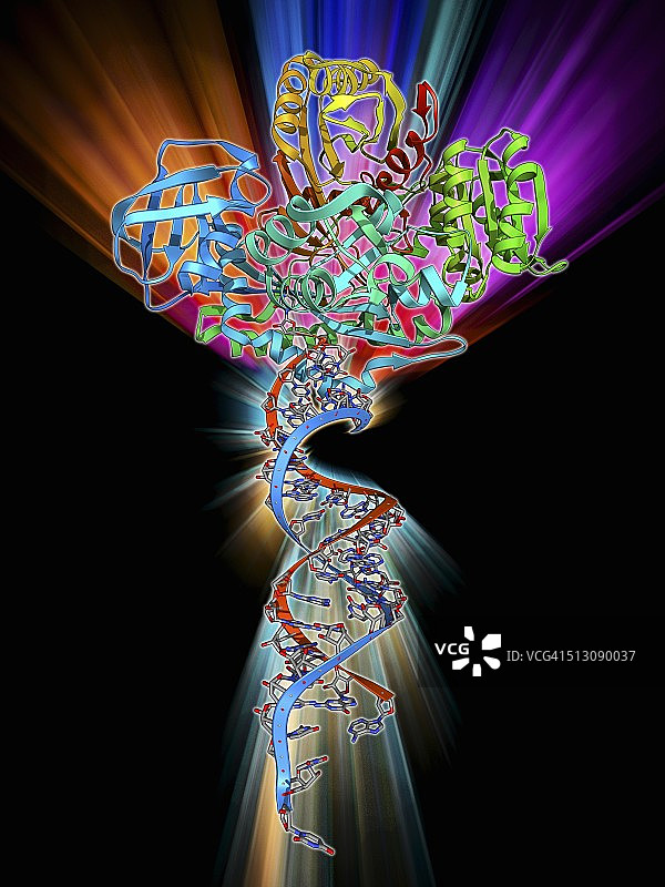 RNA诱导沉默复合体图片素材