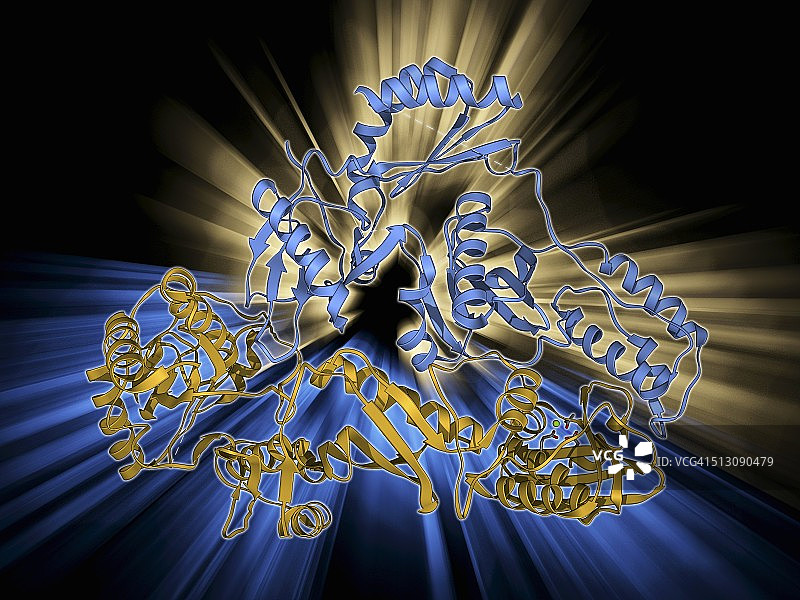 HIV逆转录酶图片素材