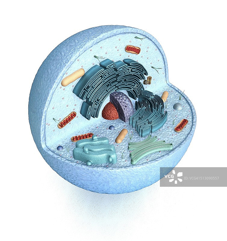 动物细胞艺术图图片素材