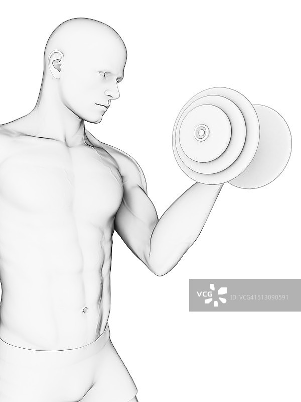 使用哑铃锻炼的人图片素材