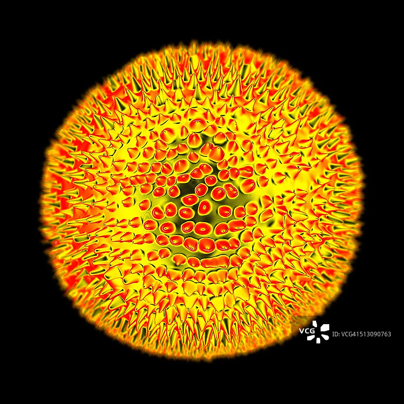风疹病毒，艺术作品图片素材