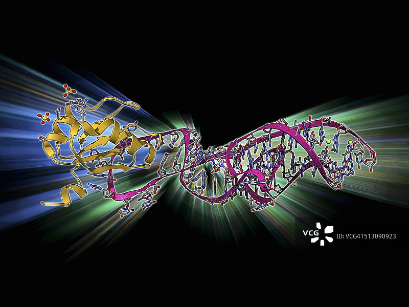 丁型肝炎病毒核酶复合物图片素材