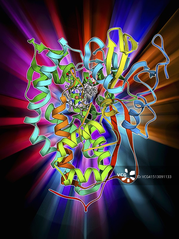 细胞色素P450复合物图片素材