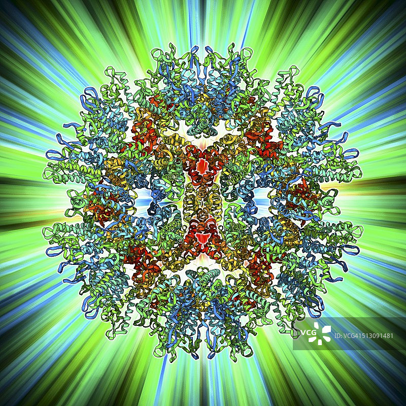 劳斯肉瘤病毒衣壳图片素材
