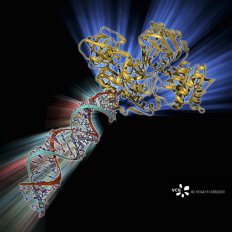 RNA诱导沉默复合体图片素材