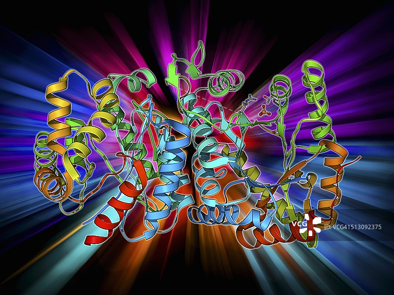 生物发光酶分子图片素材