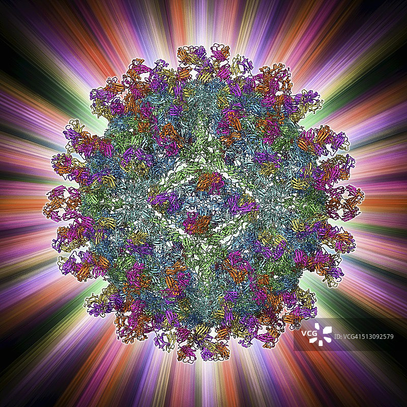 西尼罗河病毒和抗体图片素材