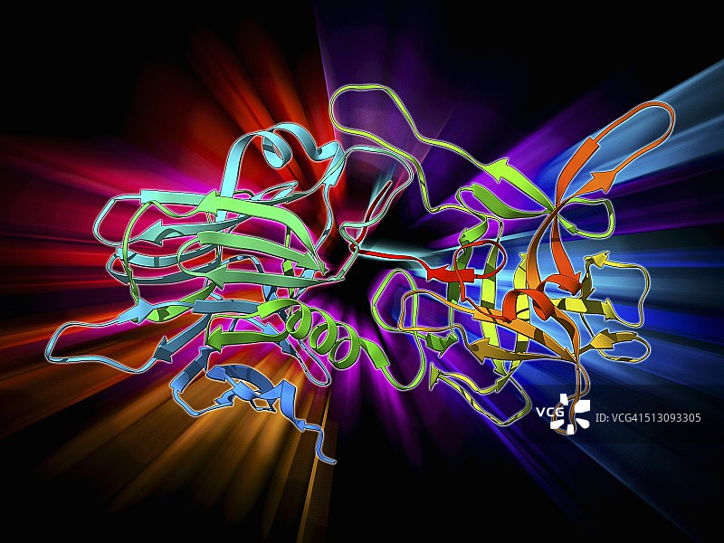 B型肉毒杆菌神经毒素图片素材