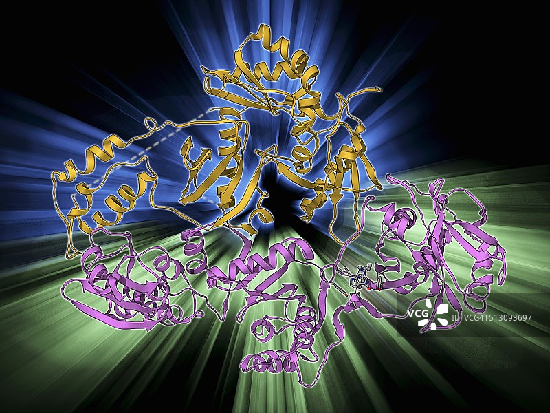 HIV逆转录酶图片素材