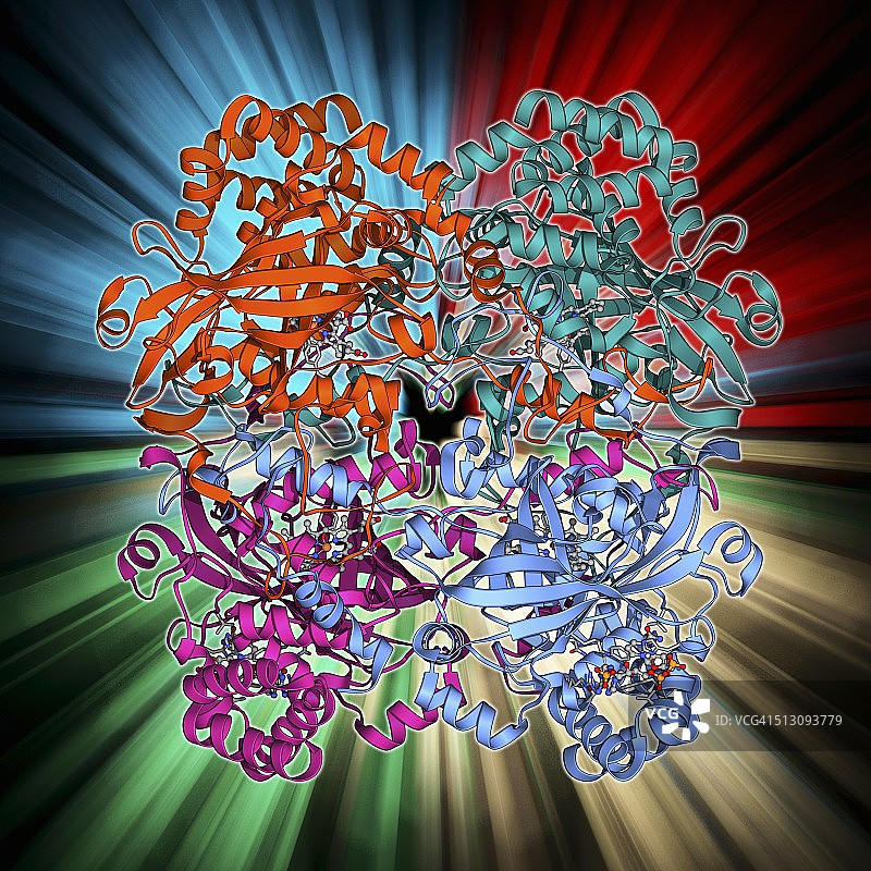 人催化酶分子模型图片素材