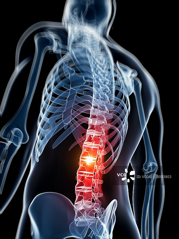 人腰椎医学插图图片素材