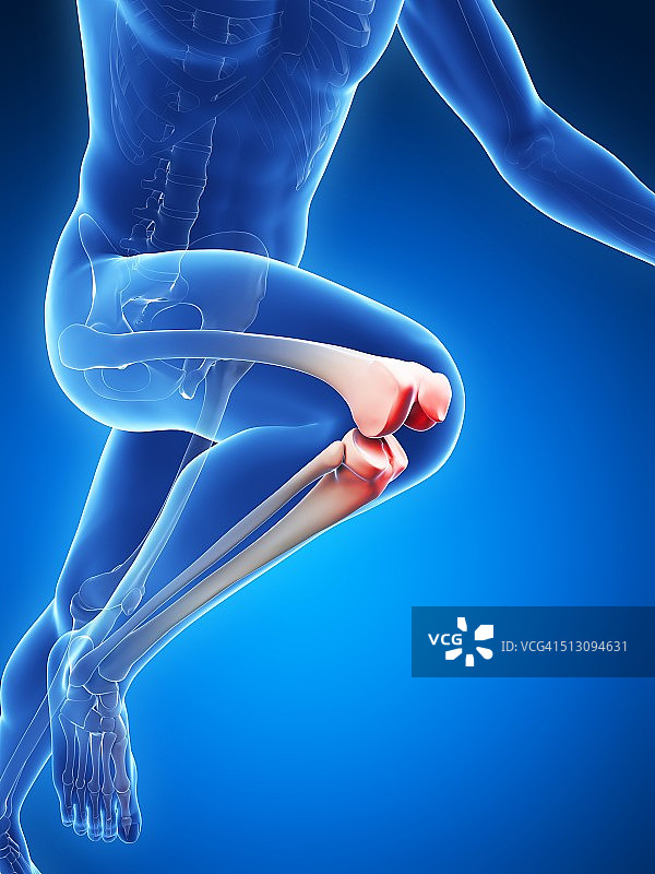 跑步者膝关节图片素材