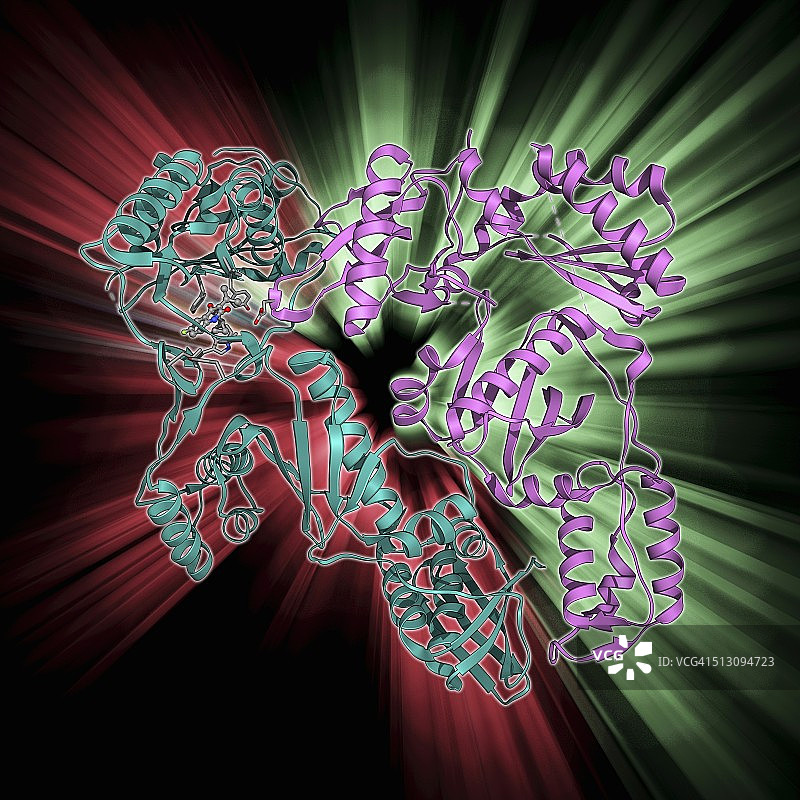 逆转录酶和抑制剂图片素材