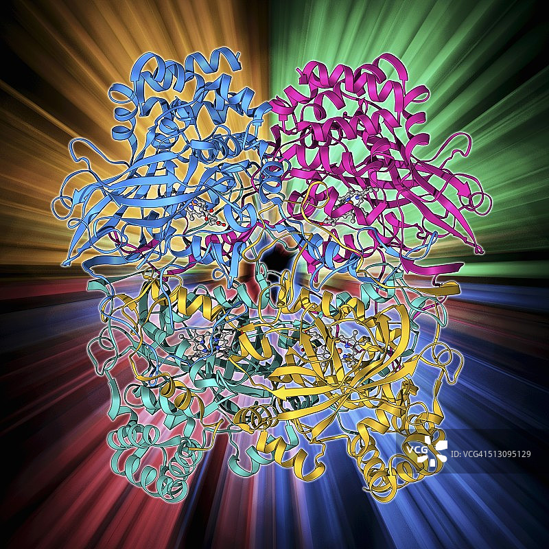 人催化酶分子模型图片素材
