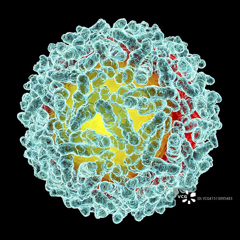 阿尔法病毒图片素材