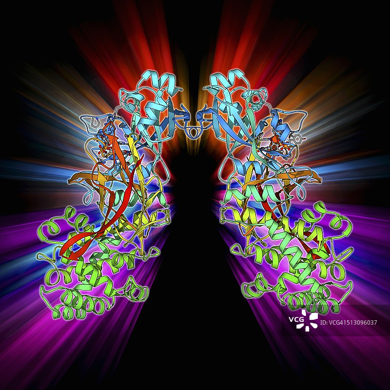 白喉毒素分子模型图片素材