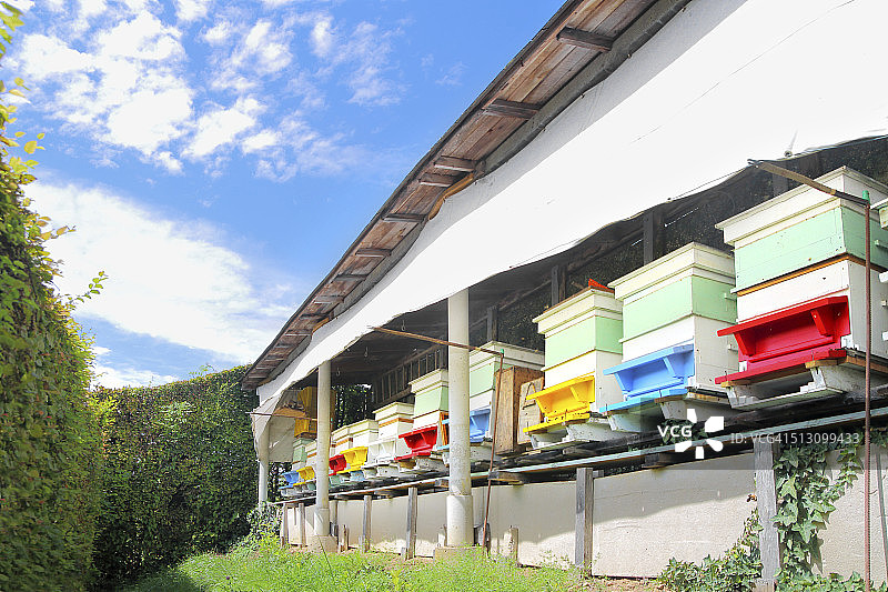 自制彩色蜂箱图片素材