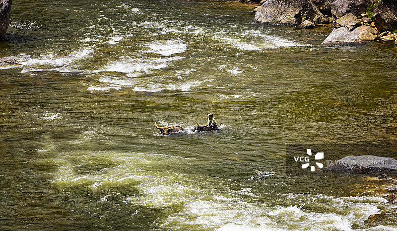 越南沙帕附近的老柴河谷图片素材