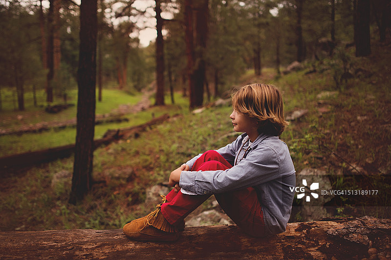 树林里的男孩图片素材