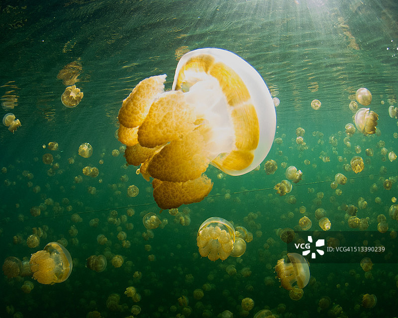 超级快乐的浮潜图片素材