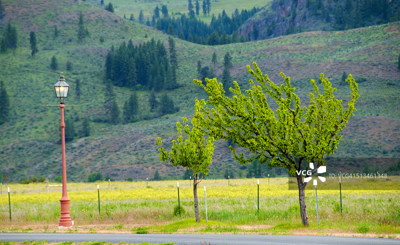 Cascade山脉附近的景观图片素材