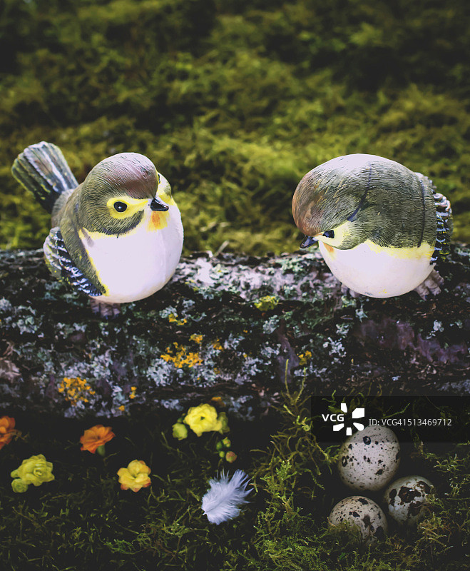 迷人的春日景象图片素材