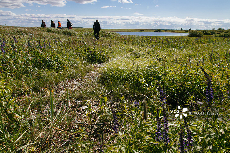 俄罗斯涅涅茨自治区北极苔原徒步的游客图片素材