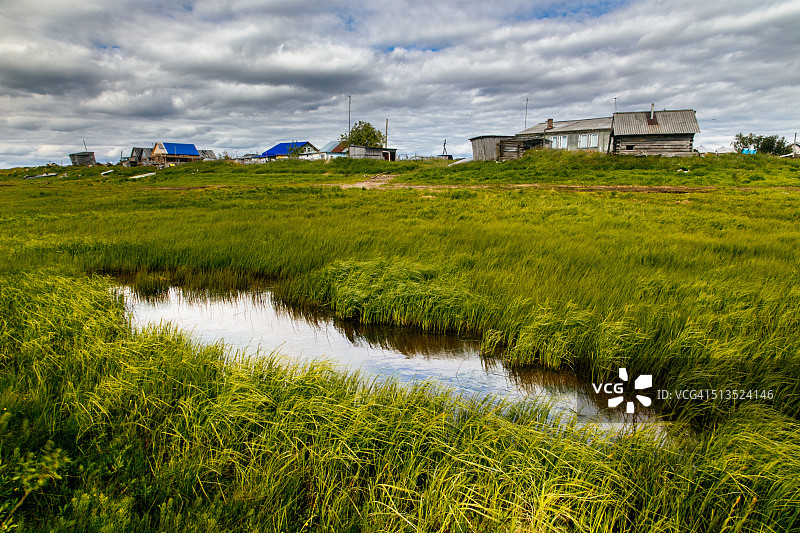 俄罗斯涅涅茨自治区乌斯季耶村郊外的问荆图片素材