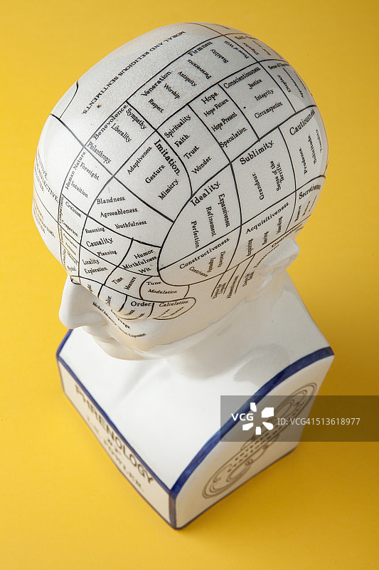 颅相学半身像图片素材